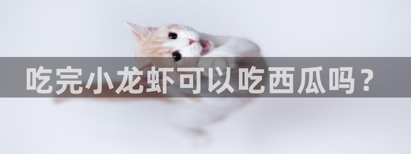 风静言我在年代文里吃瓜看戏