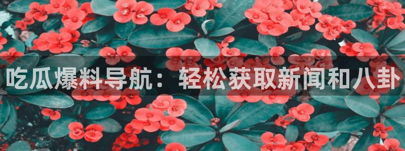 吃瓜下载：吃瓜爆料导航：轻松获取新闻和八卦