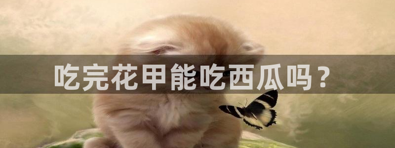 nanataipei今日吃瓜