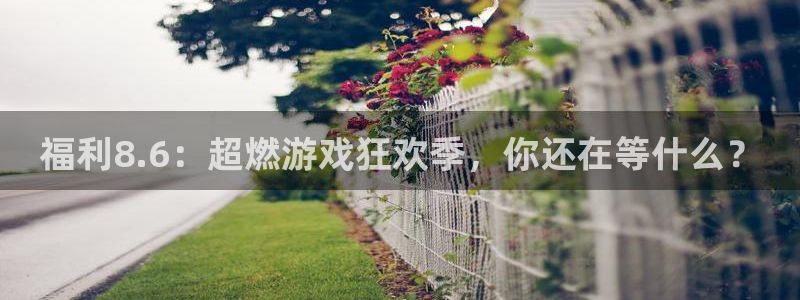 豆瓣自由吃瓜基地