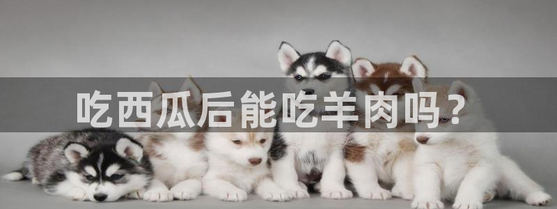 黑料,