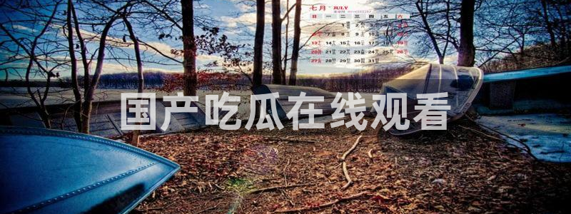 黑料.：国产吃瓜在线观看