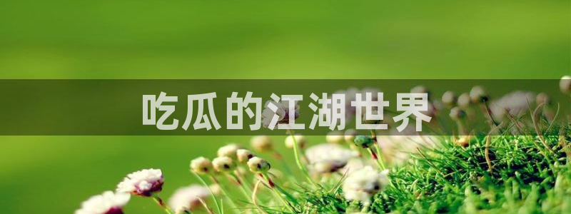 各种网红爆料吃瓜：吃瓜的江湖世界