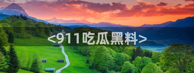 51吃瓜安卓下载：<911吃瓜黑料>