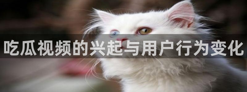 吃瓜：吃瓜视频的兴起与用户行为变化