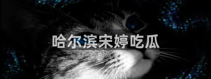 51国产吃瓜在线今日吃瓜：哈尔滨宋婷吃瓜