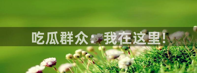 网站吃瓜:吃瓜群众:我在这里!